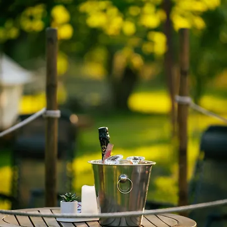 Green Garden Glamping Retezat Bălan Extérieur photo