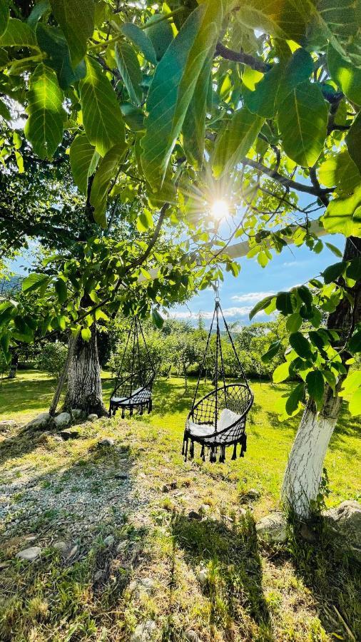 Garden Glamping Retezat Bălan
